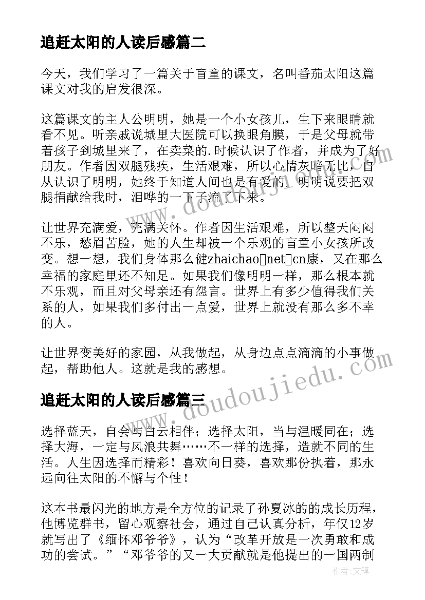 2023年追赶太阳的人读后感(优质8篇)