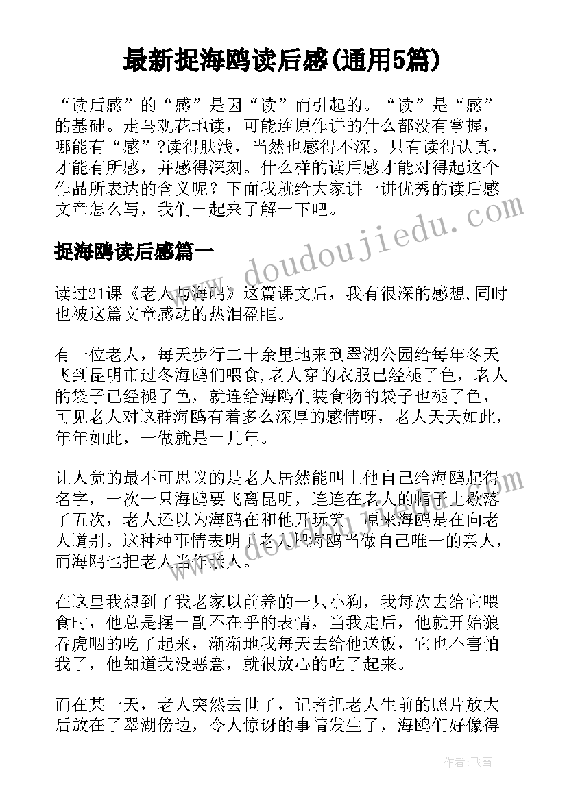 最新捉海鸥读后感(通用5篇)