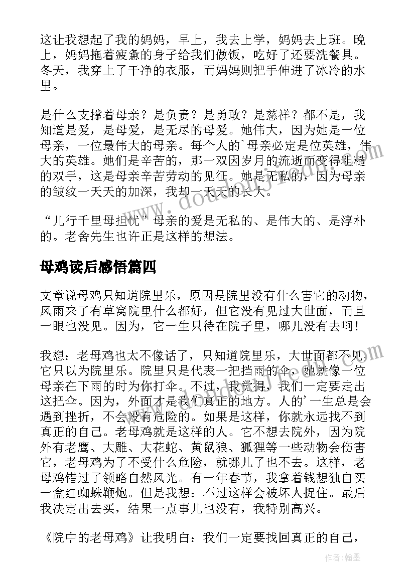 最新母鸡读后感悟(汇总6篇)