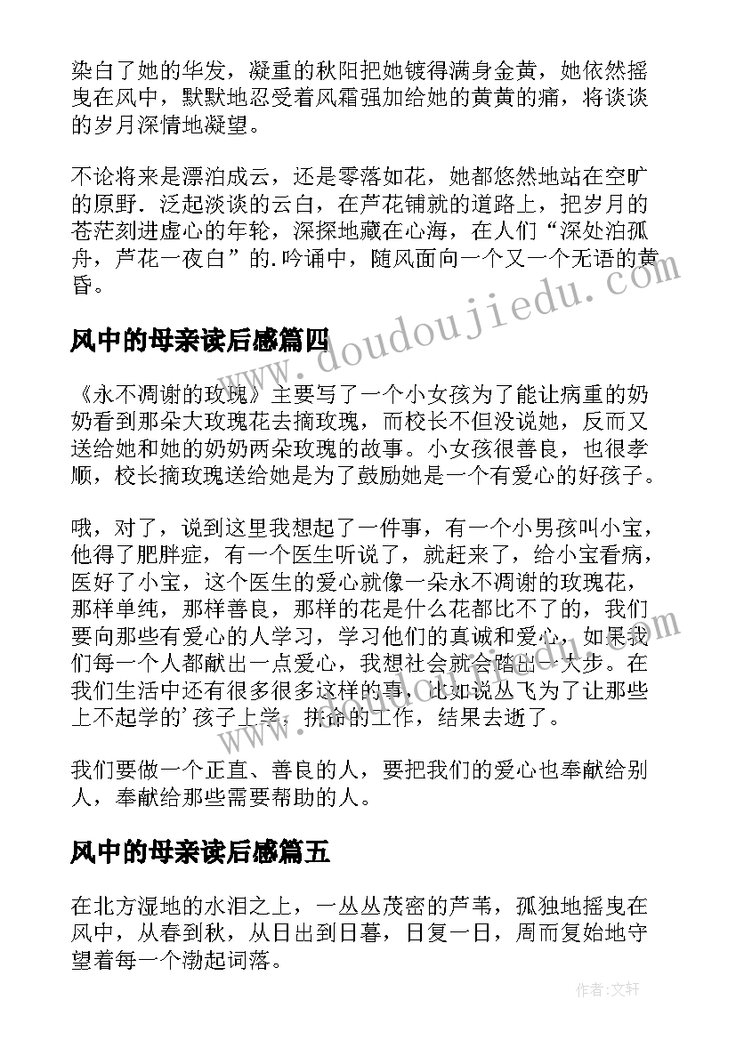 最新风中的母亲读后感(优秀5篇)