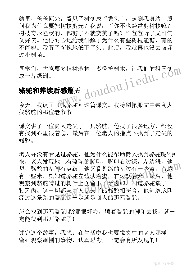 骆驼和养读后感 找骆驼读后感(实用8篇)