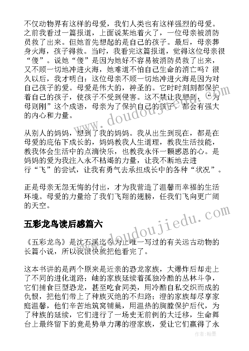 2023年五彩龙鸟读后感(汇总9篇)