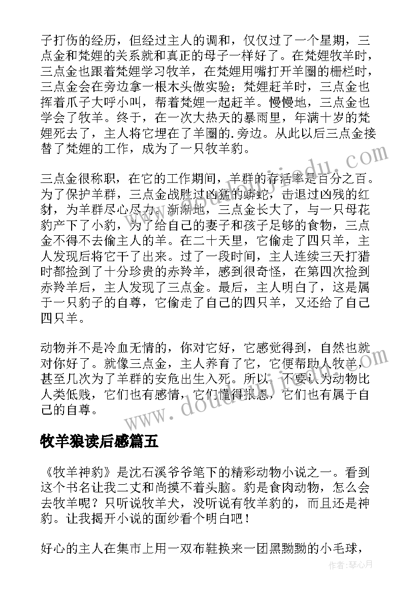 最新牧羊狼读后感 牧羊豹读后感(模板9篇)