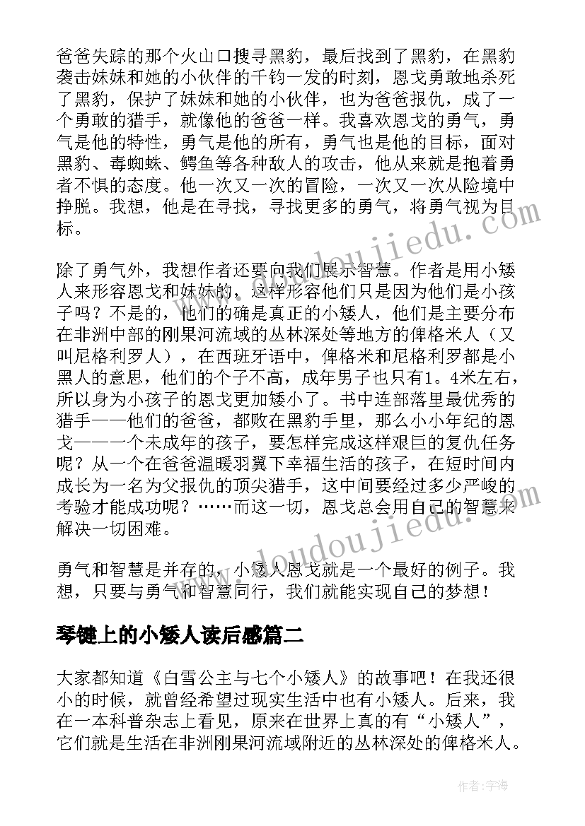 琴键上的小矮人读后感 小矮人与黑豹读后感(优秀5篇)