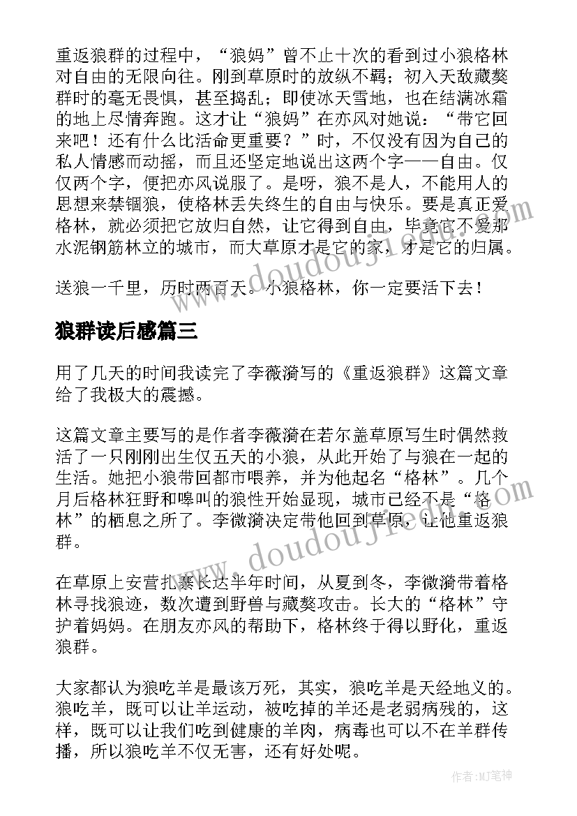 最新狼群读后感(模板9篇)