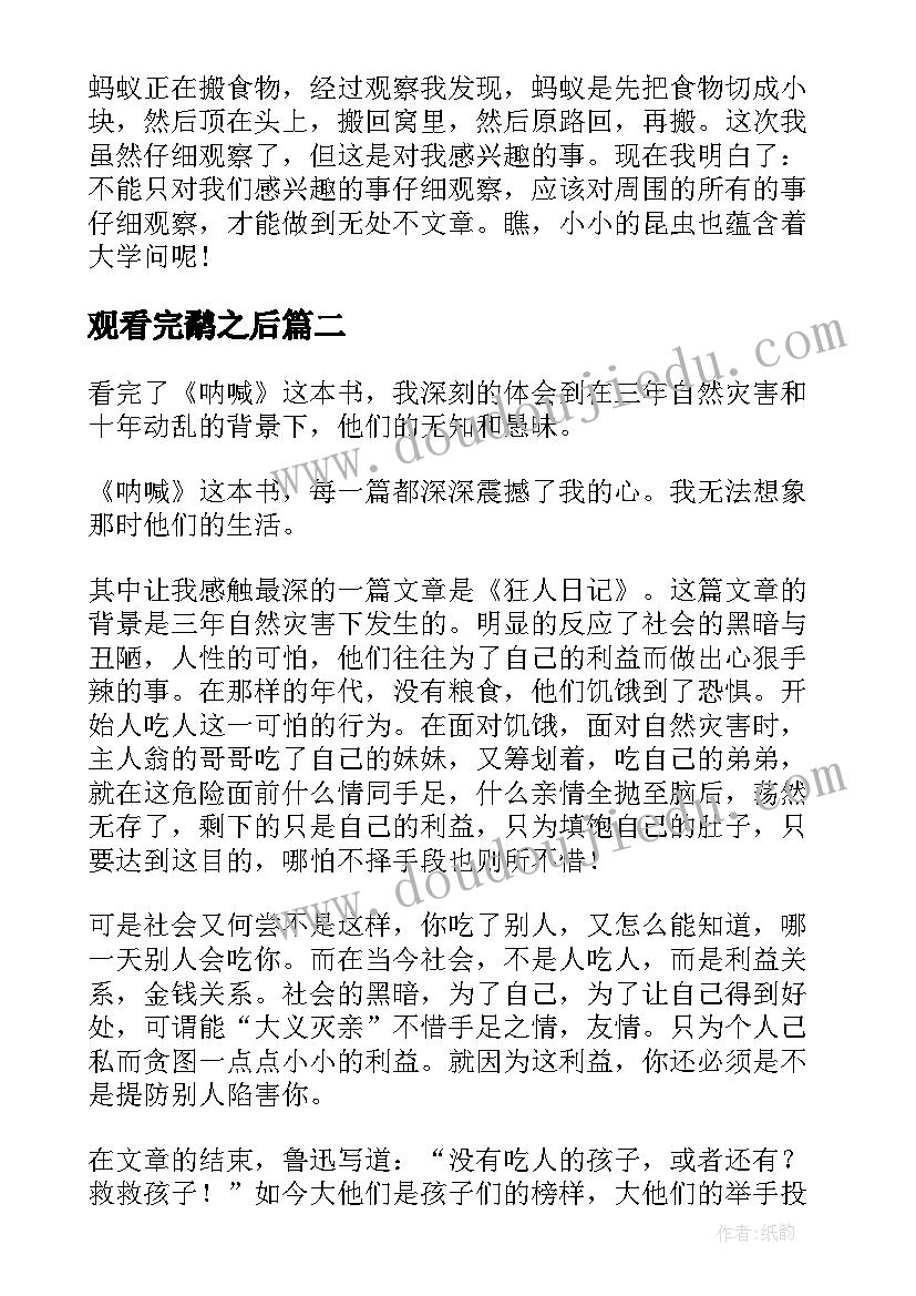 最新观看完鹬之后 看完后读后感(优秀5篇)