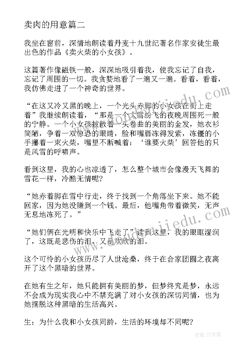 2023年卖肉的用意 阅读卖火柴的小女孩读后感(精选5篇)