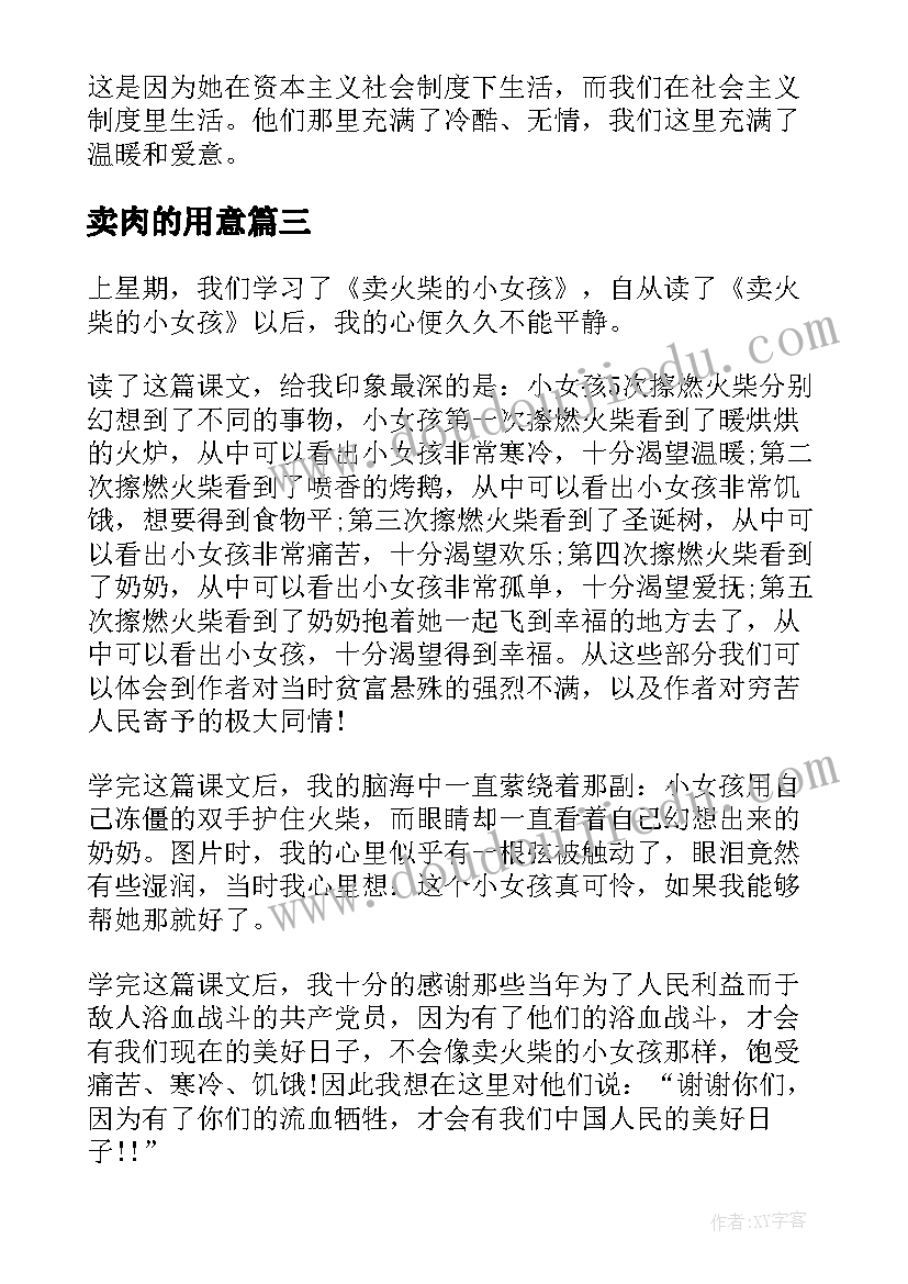 2023年卖肉的用意 阅读卖火柴的小女孩读后感(精选5篇)