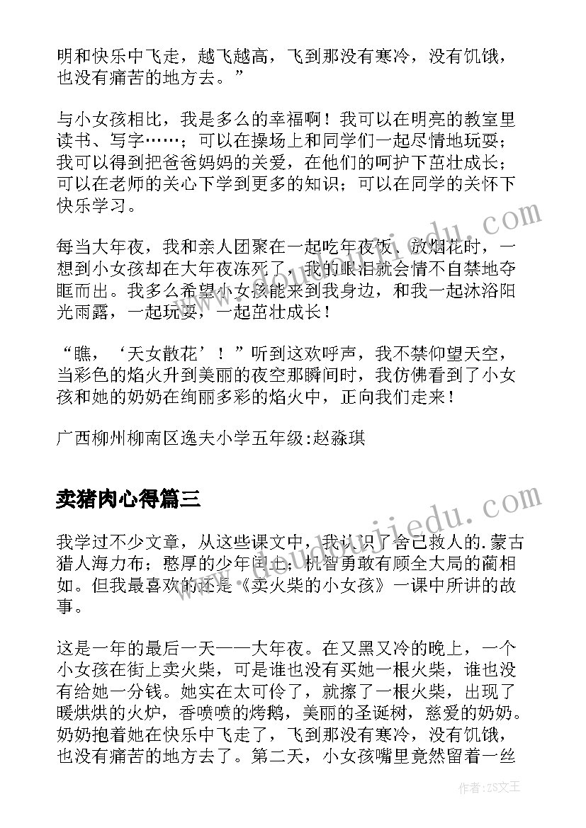 卖猪肉心得 六年级读后感读卖火柴的小女孩有感(优秀5篇)