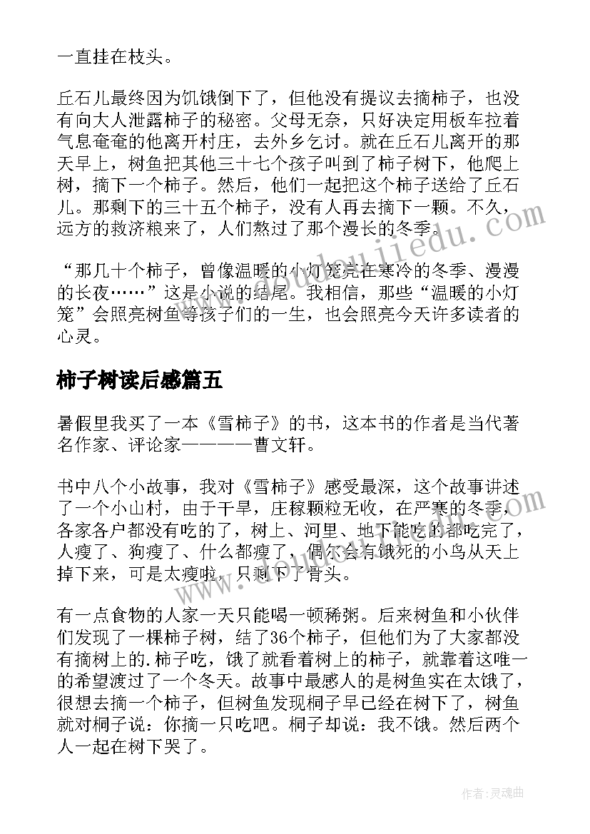 柿子树读后感(通用5篇)