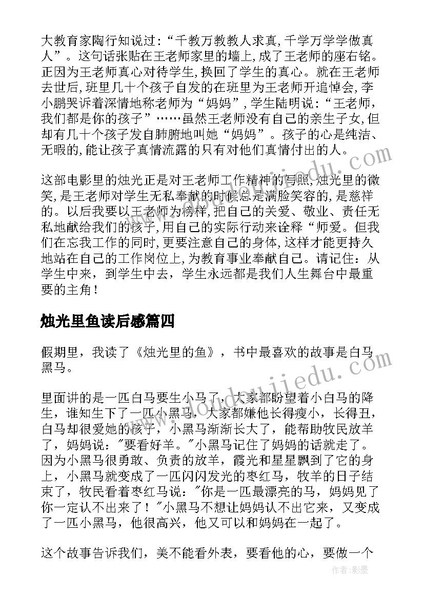 烛光里鱼读后感(优秀5篇)