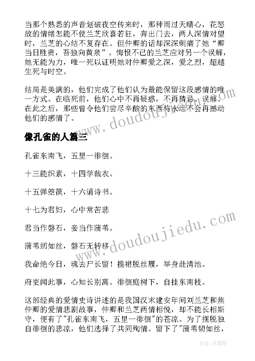 像孔雀的人 孔雀东南飞读后感(模板5篇)