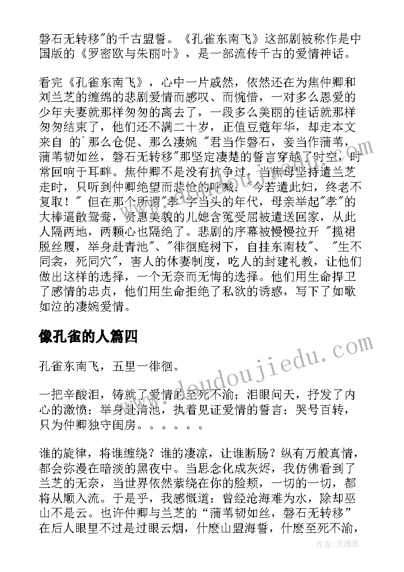 像孔雀的人 孔雀东南飞读后感(模板5篇)