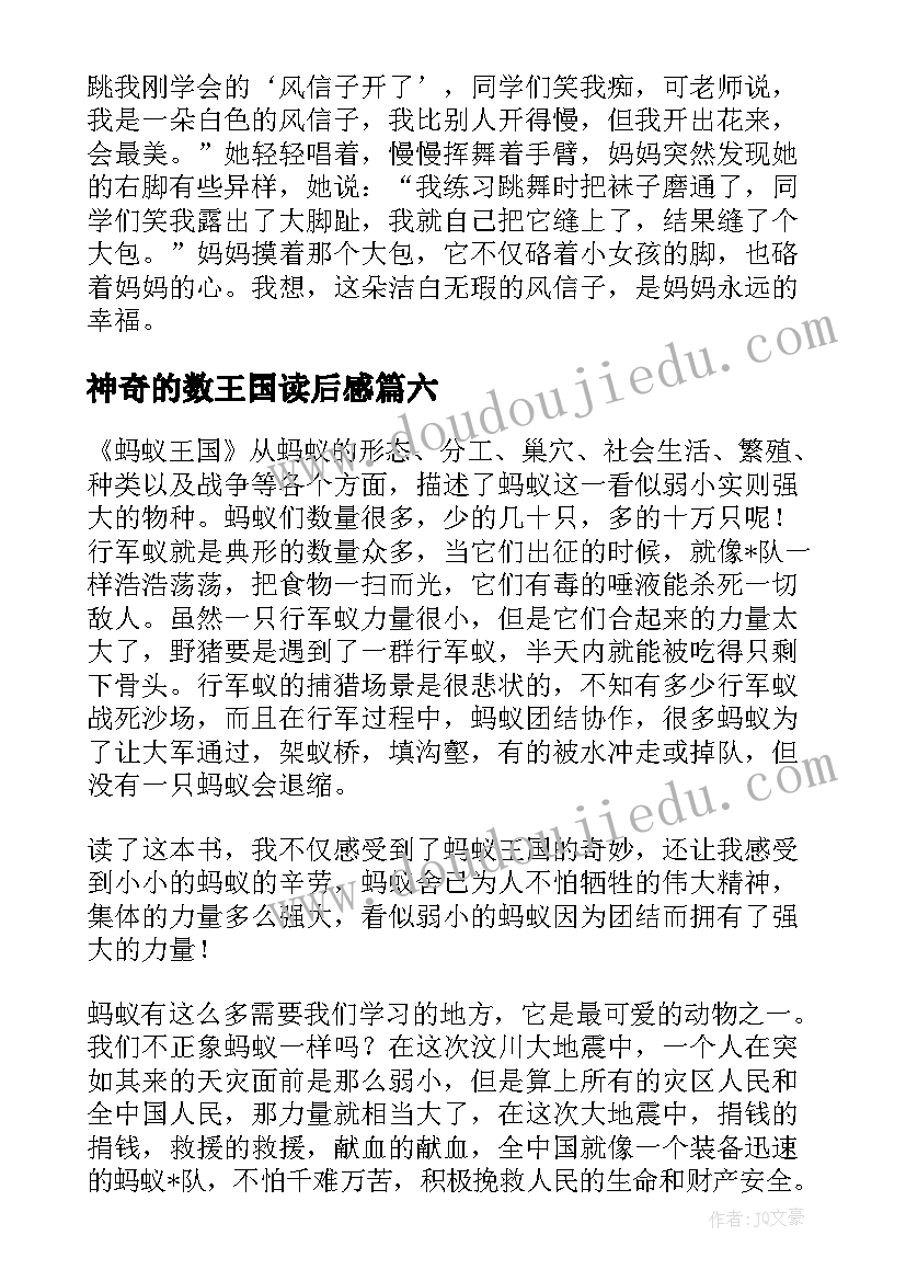 2023年神奇的数王国读后感(实用10篇)