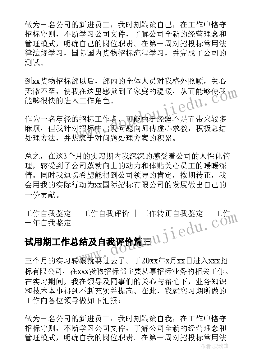 最新试用期工作总结及自我评价(精选5篇)