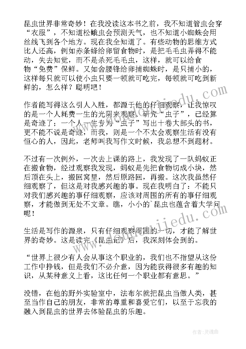 最新昆虫记读后感精彩片段 昆虫记读后感(模板10篇)