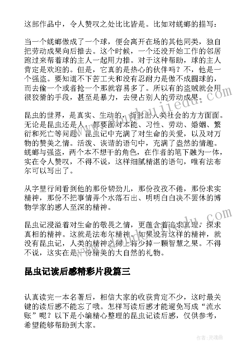 最新昆虫记读后感精彩片段 昆虫记读后感(模板10篇)