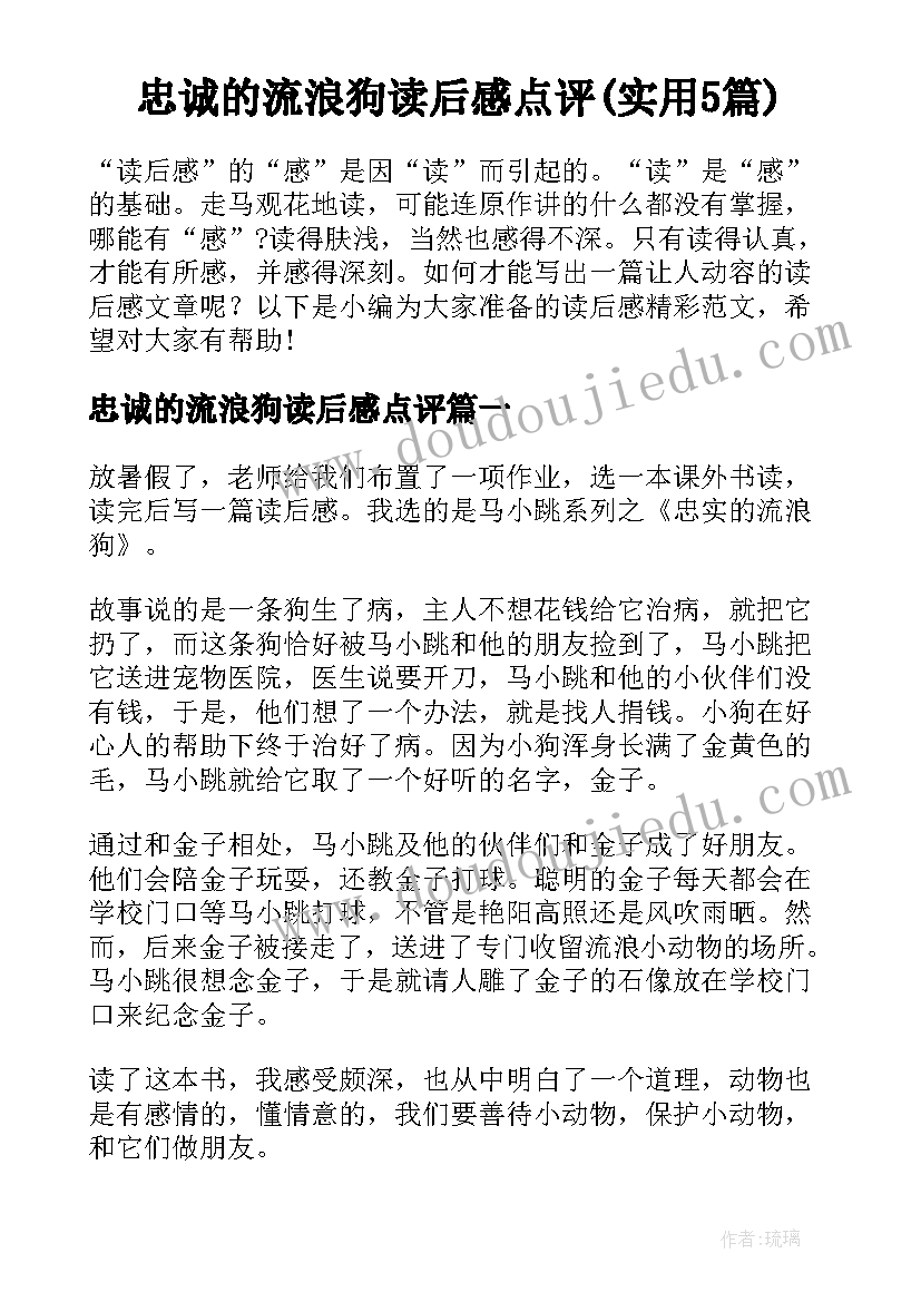 忠诚的流浪狗读后感点评(实用5篇)