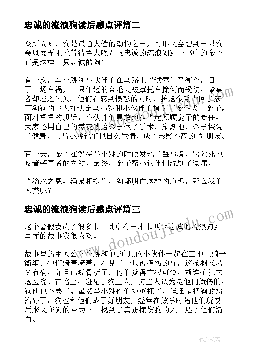 忠诚的流浪狗读后感点评(实用5篇)