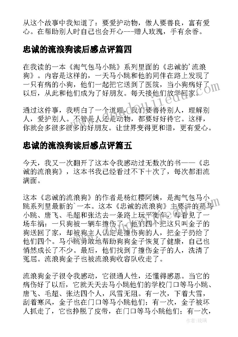 忠诚的流浪狗读后感点评(实用5篇)