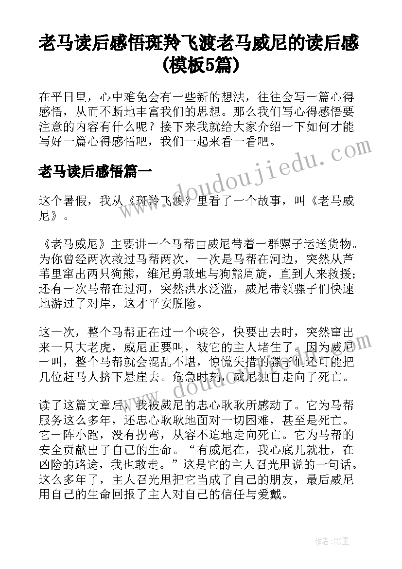 老马读后感悟 斑羚飞渡老马威尼的读后感(模板5篇)