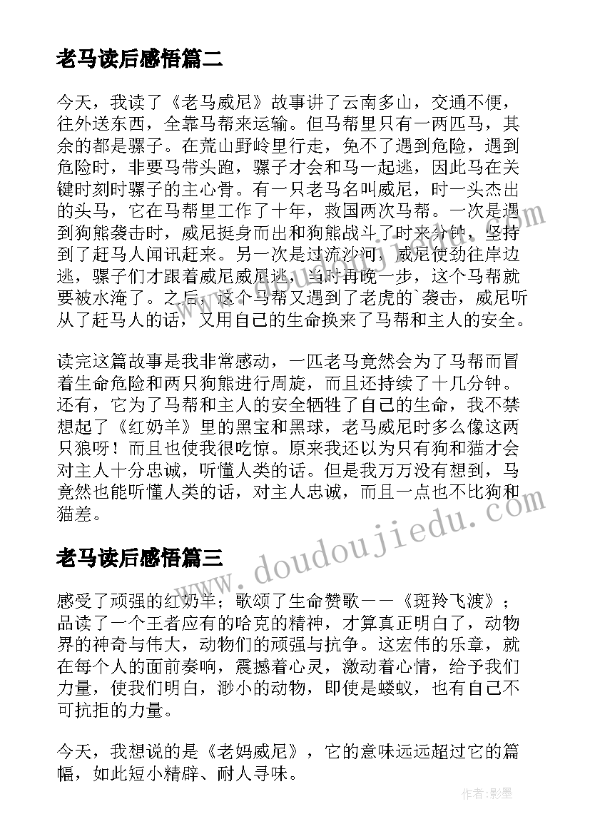 老马读后感悟 斑羚飞渡老马威尼的读后感(模板5篇)