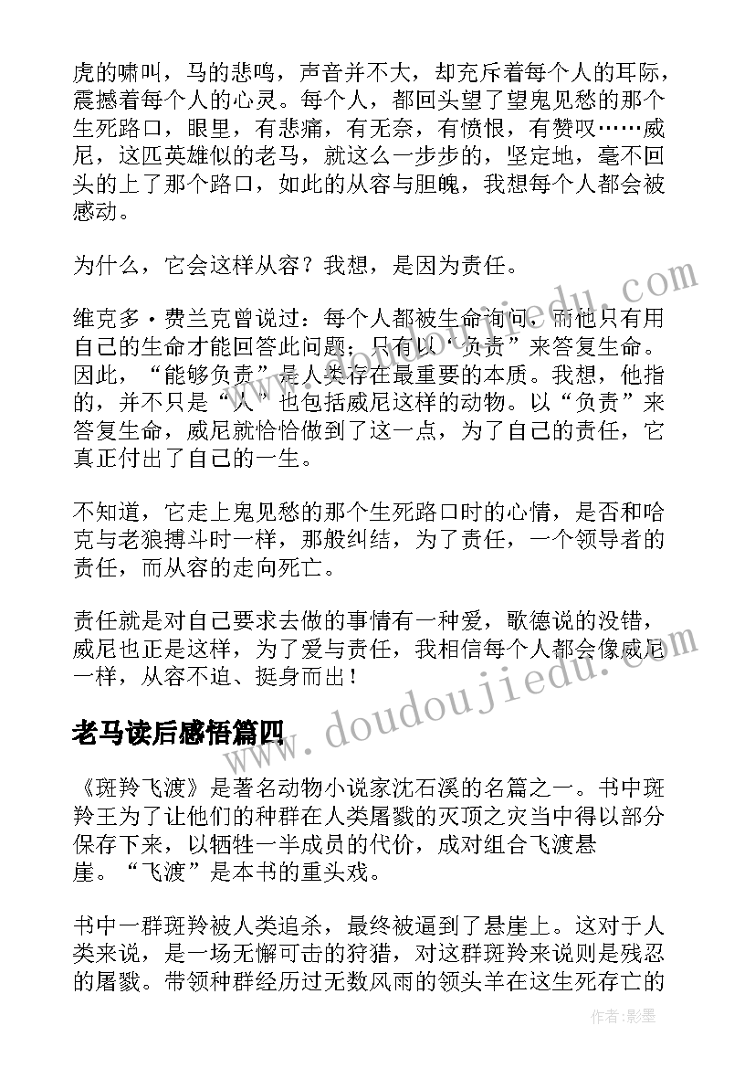 老马读后感悟 斑羚飞渡老马威尼的读后感(模板5篇)