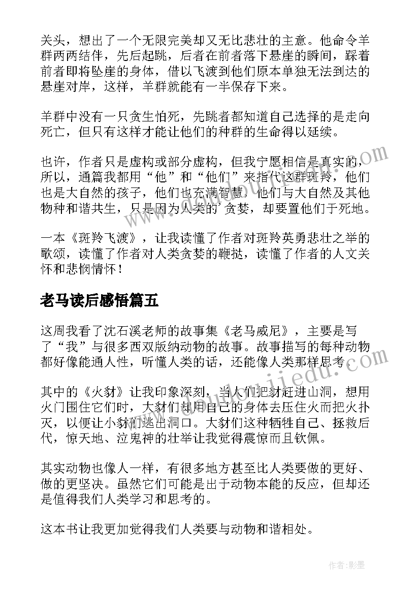 老马读后感悟 斑羚飞渡老马威尼的读后感(模板5篇)