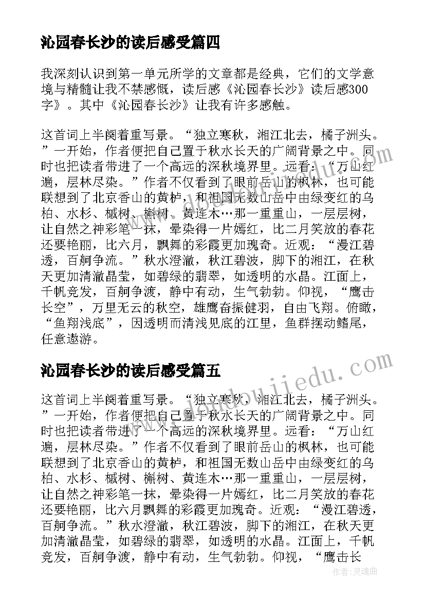 2023年沁园春长沙的读后感受(优质5篇)