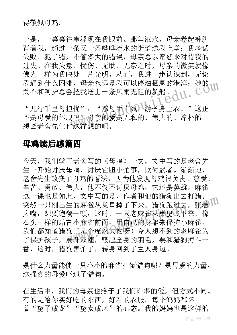 最新母鸡读后感(通用8篇)