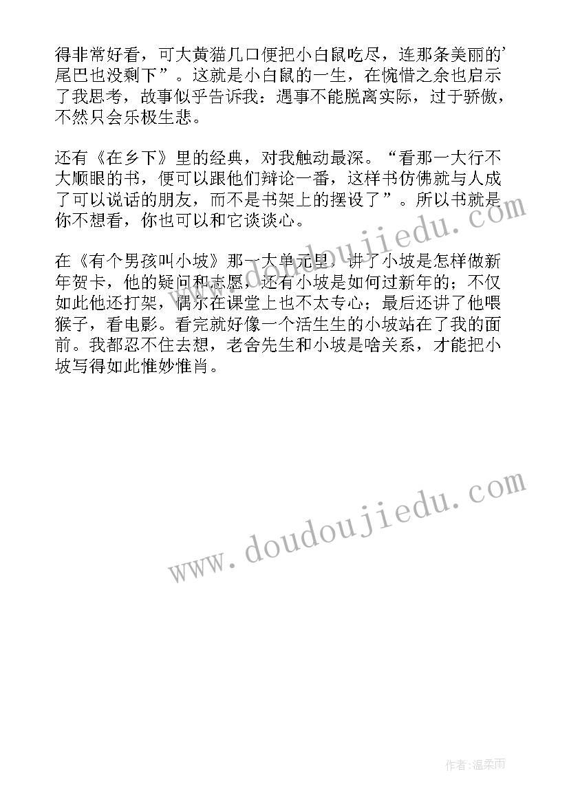 最新老舍猫读后感 老舍的猫读后感(通用7篇)