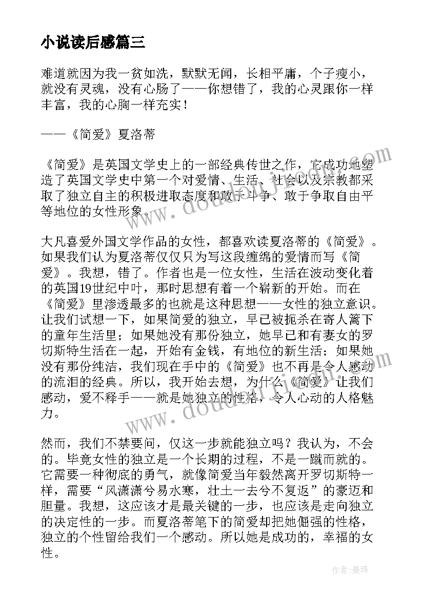 2023年小说读后感(精选9篇)