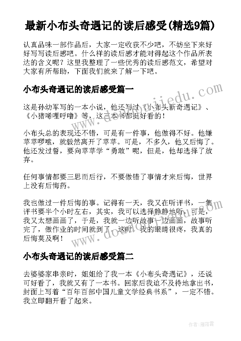 最新小布头奇遇记的读后感受(精选9篇)