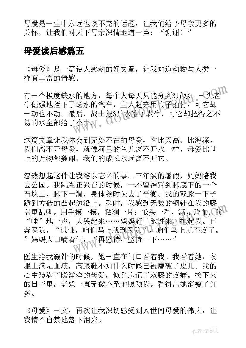 母爱读后感(实用5篇)