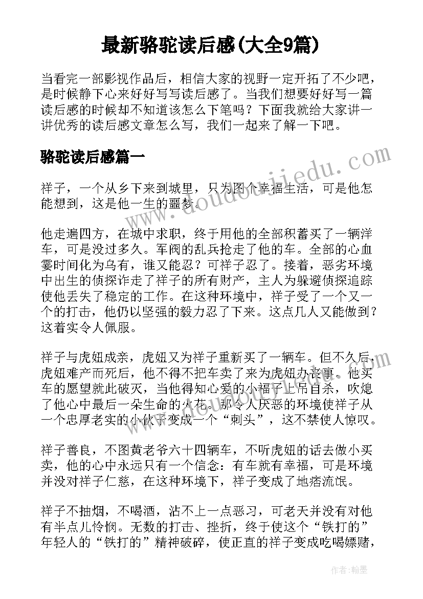 最新骆驼读后感(大全9篇)