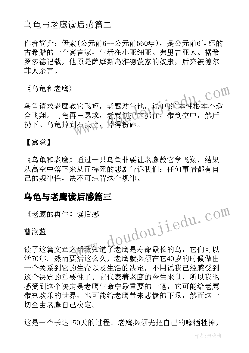 2023年乌龟与老鹰读后感(优秀5篇)