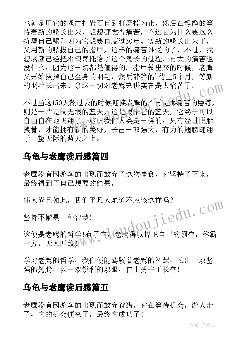 2023年乌龟与老鹰读后感(优秀5篇)