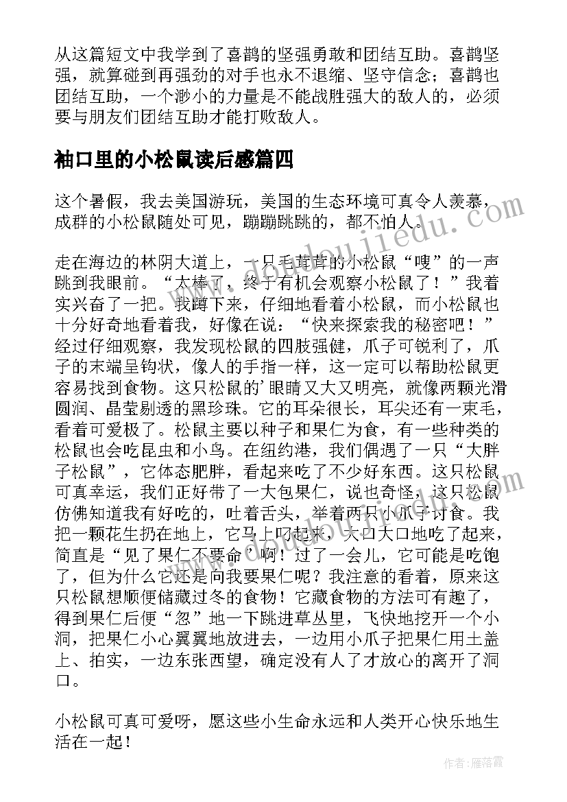 2023年袖口里的小松鼠读后感(汇总5篇)