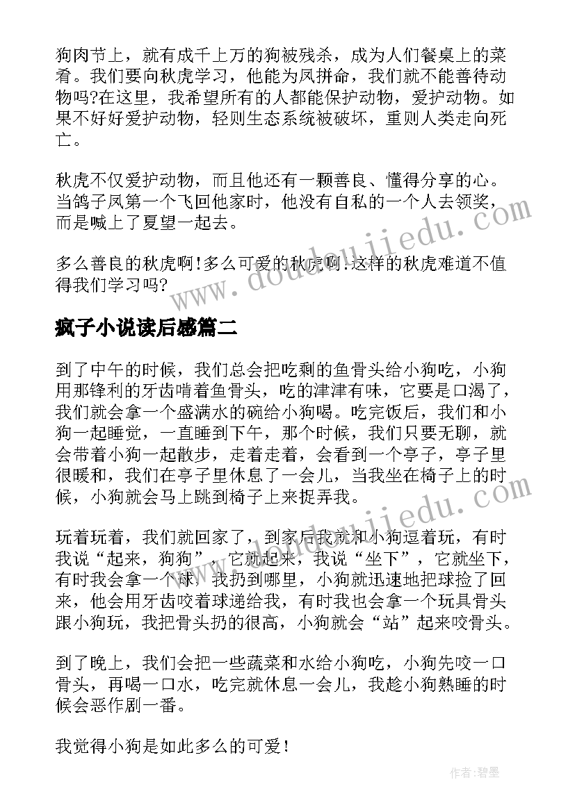 最新疯子小说读后感(汇总6篇)