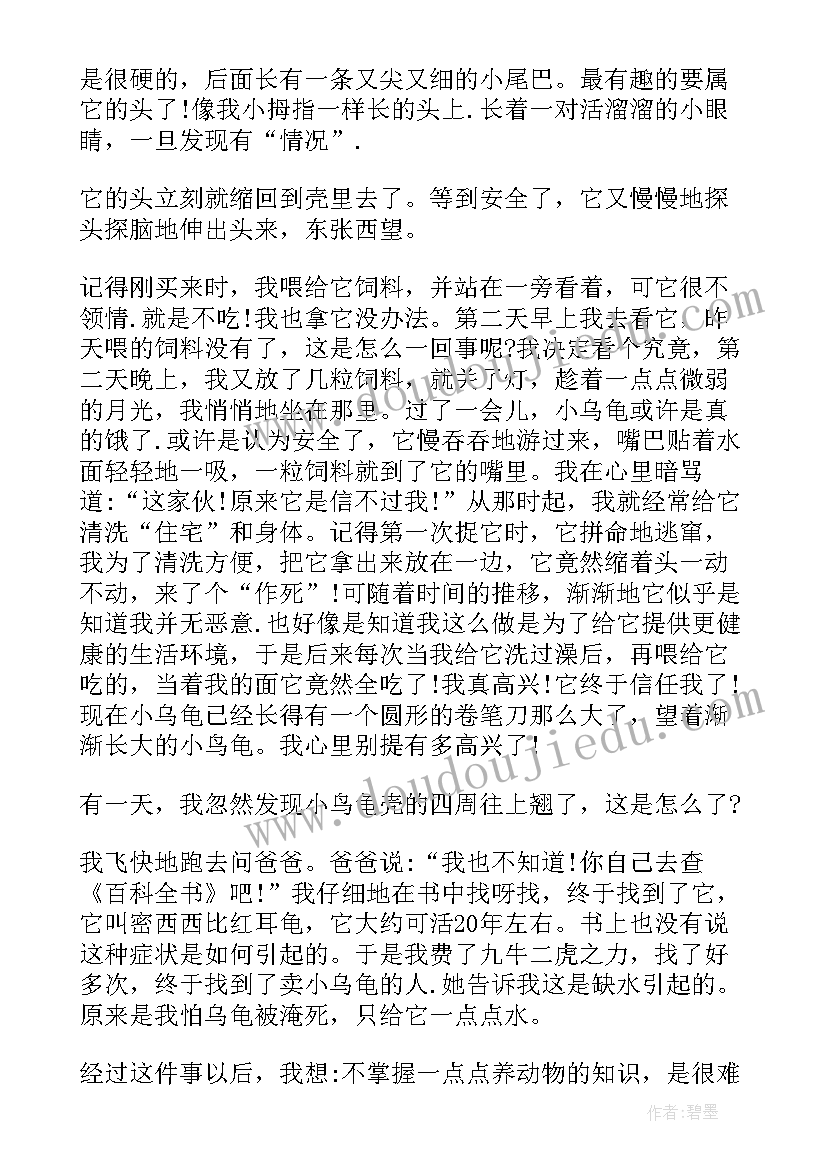 最新疯子小说读后感(汇总6篇)