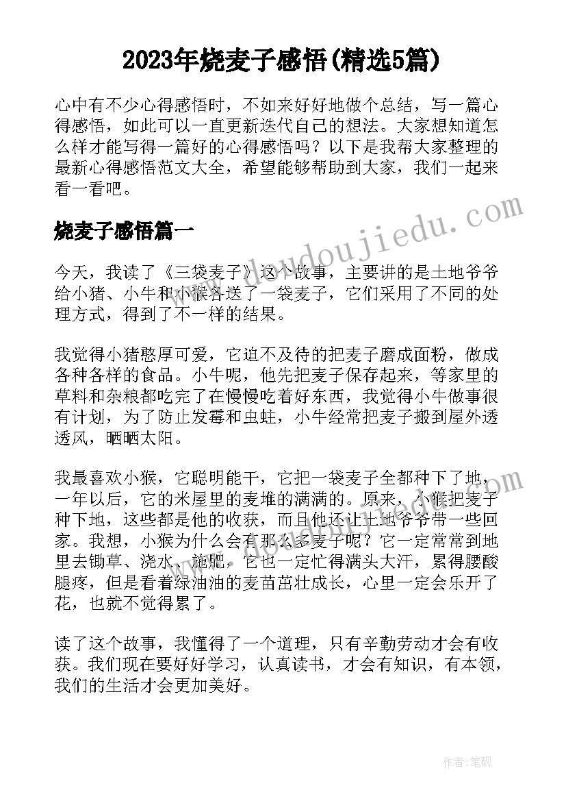 2023年烧麦子感悟(精选5篇)