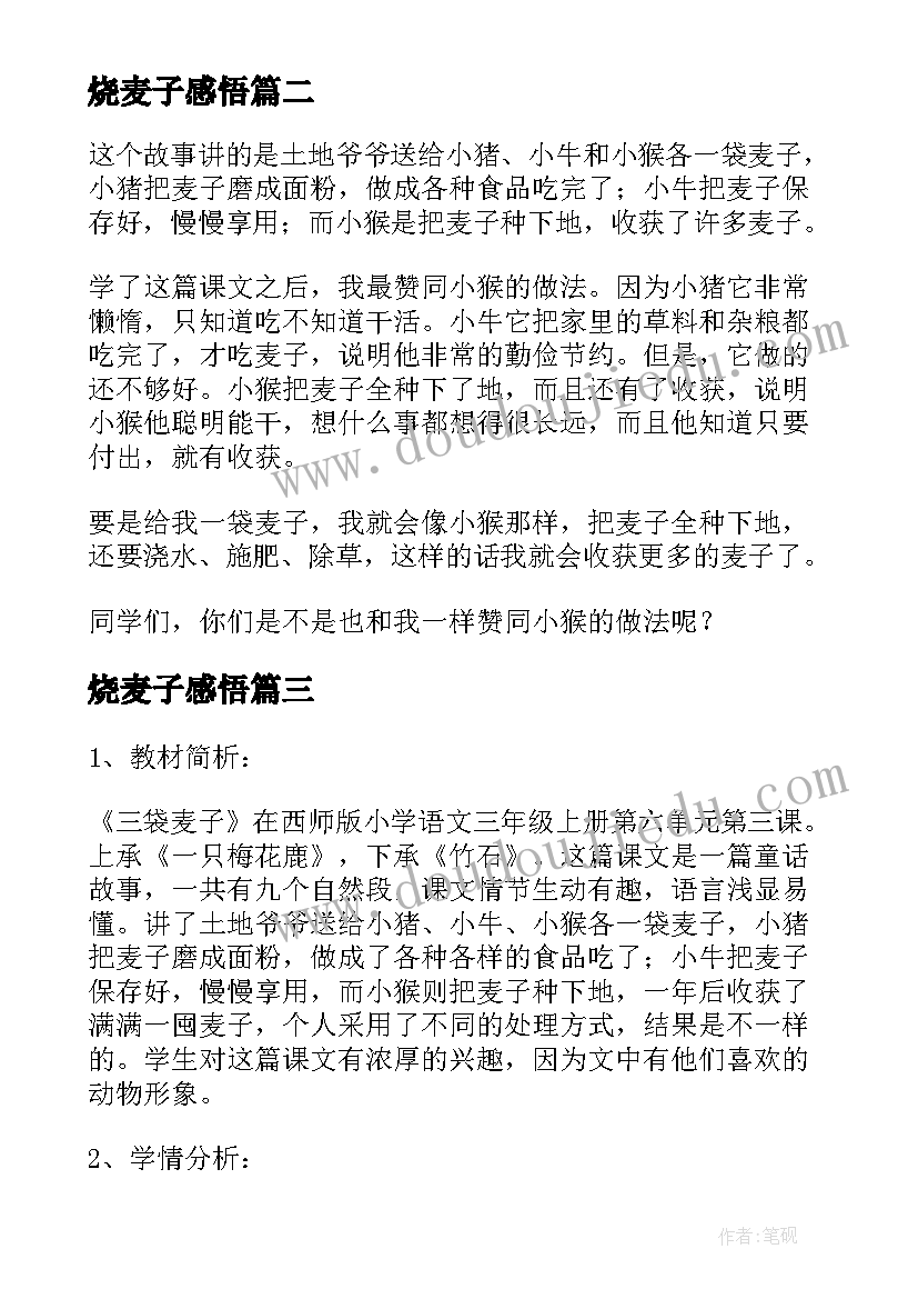 2023年烧麦子感悟(精选5篇)