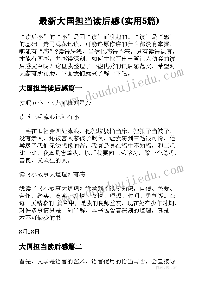 最新大国担当读后感(实用5篇)