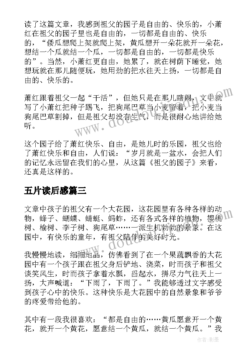 五片读后感 祖父的园子读后感(优质6篇)