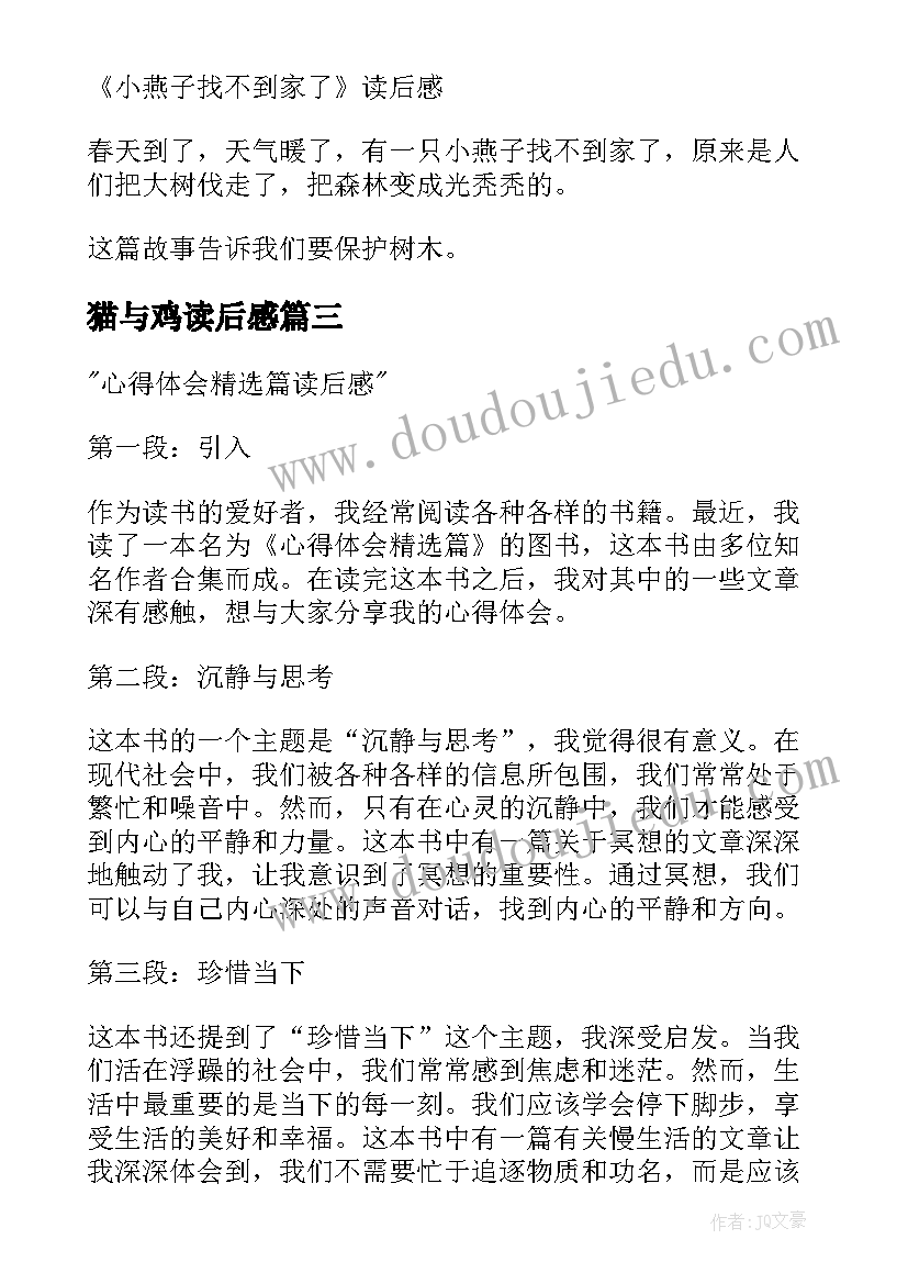 2023年猫与鸡读后感 读后感随写读后感(大全10篇)