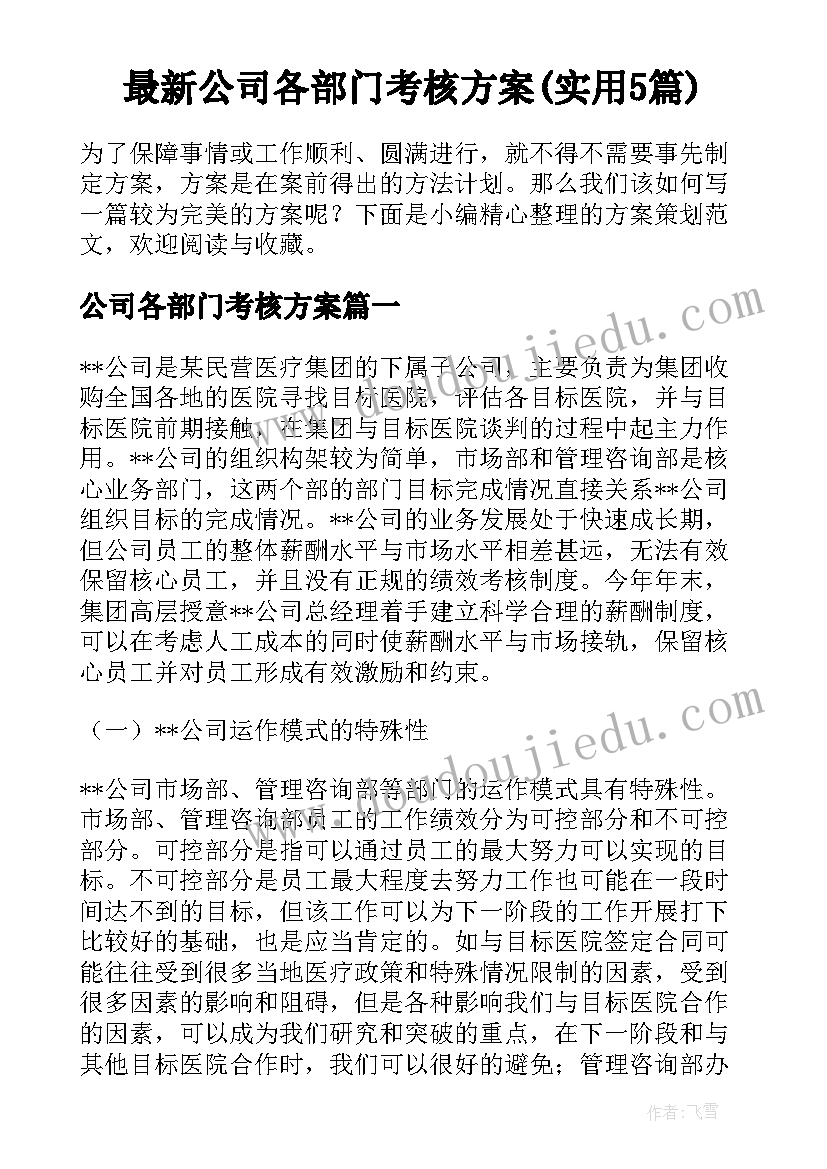 最新公司各部门考核方案(实用5篇)