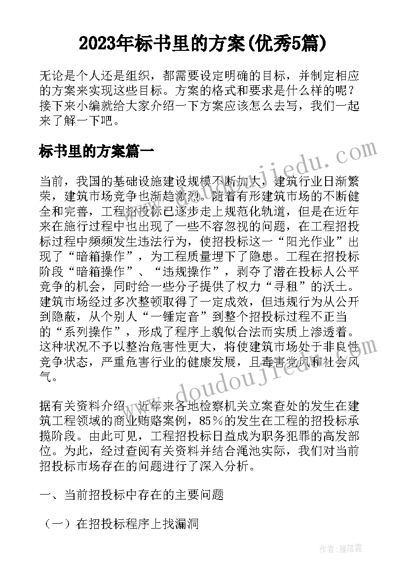 2023年标书里的方案(优秀5篇)