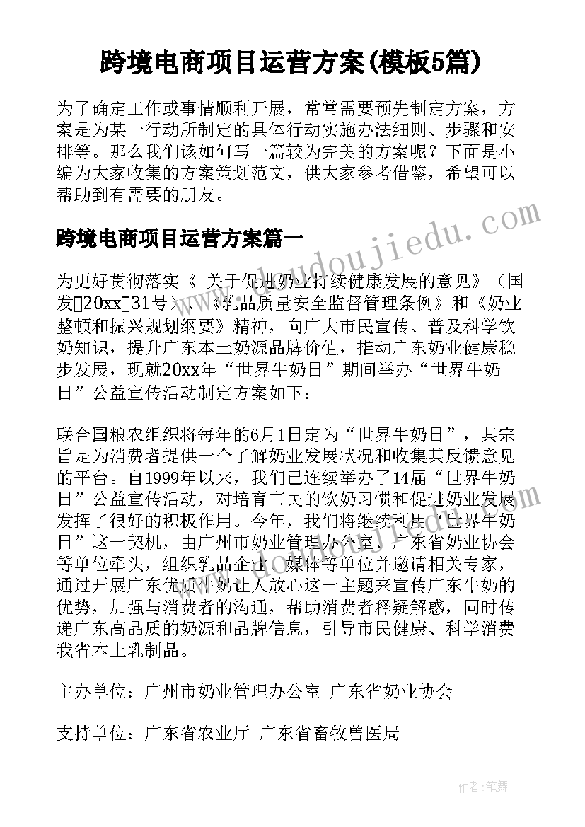 跨境电商项目运营方案(模板5篇)