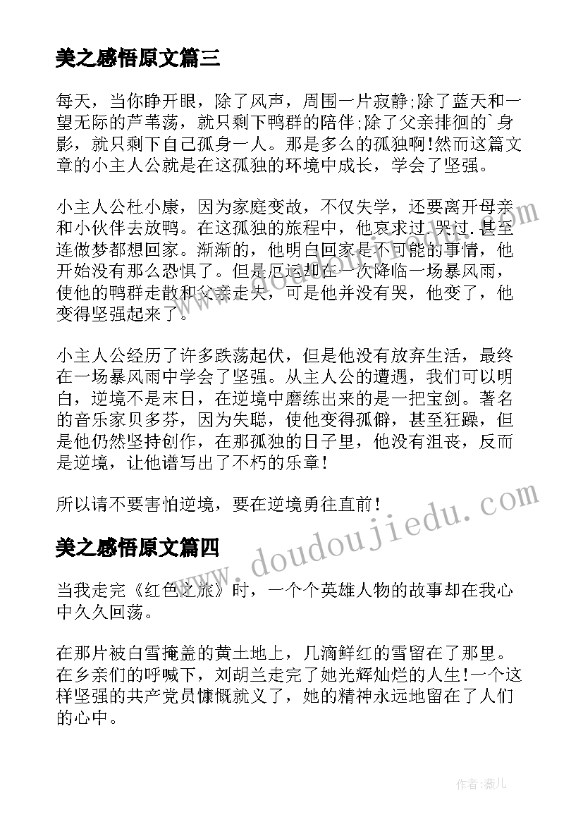 2023年美之感悟原文(优质5篇)