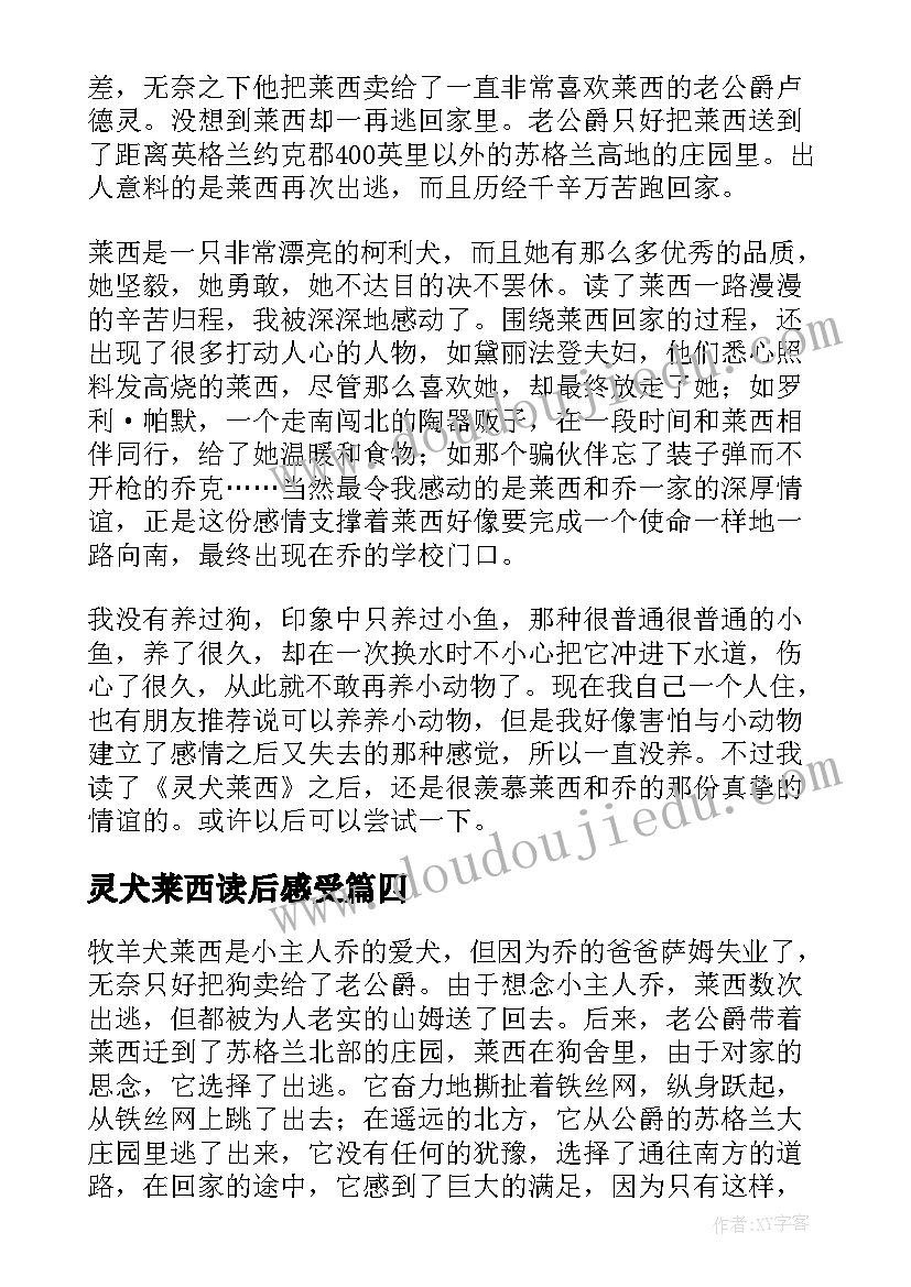 灵犬莱西读后感受(优秀5篇)